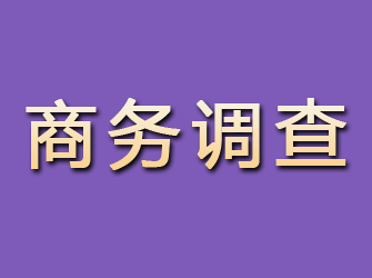 麦盖提商务调查