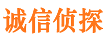 麦盖提市侦探公司